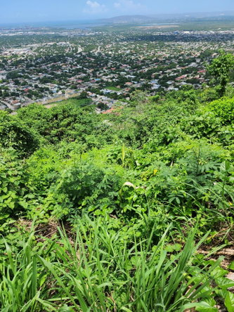 First image of 30 Throne Circle, Queen Hill in Kingston 19, St. Andrew, Jamaica - property is For Sale