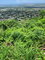 First image of 30 Throne Circle, Queen Hill in Kingston 19, St. Andrew, Jamaica - property is For Sale