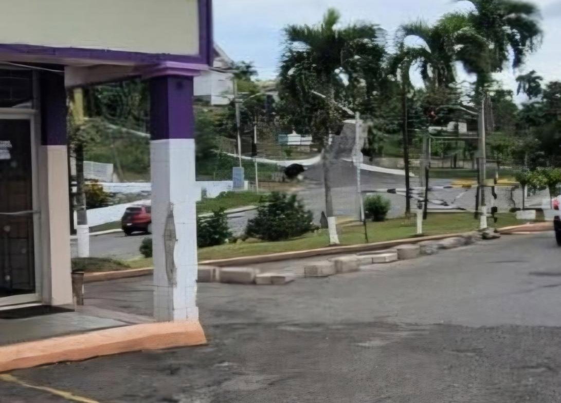 Third image of 18a Caledonia Road, Manchester Shopping Centre in Mandeville, Manchester, Jamaica - property is For Rent