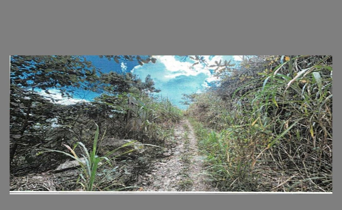 Third image of Charlottenburg in Gordon Town P.O., St. Andrew, Jamaica - property is For Sale