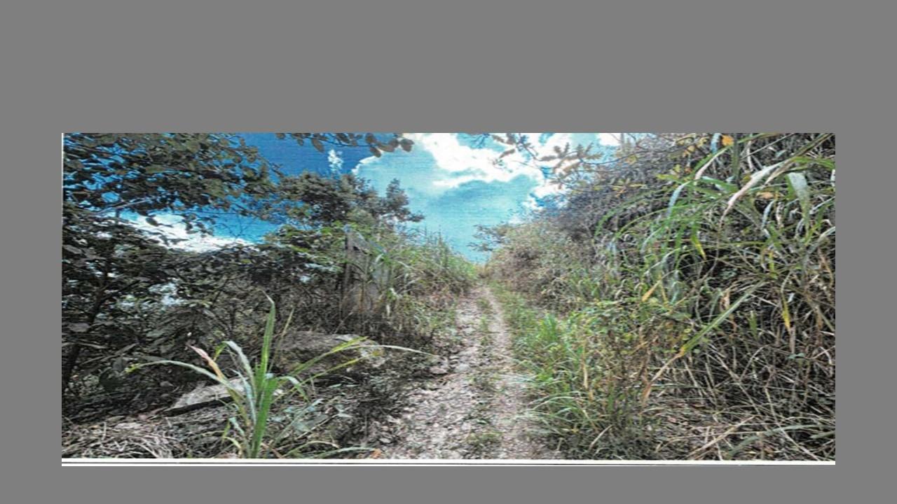 Third image of Charlottenburg in Gordon Town P.O., St. Andrew, Jamaica - property is For Sale