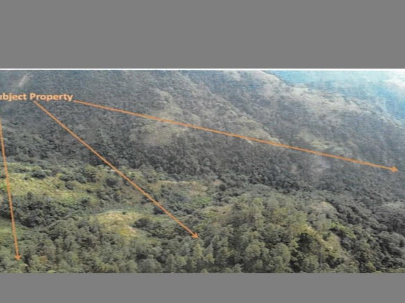 First image of Charlottenburg in Gordon Town P.O., St. Andrew, Jamaica - property is For Sale