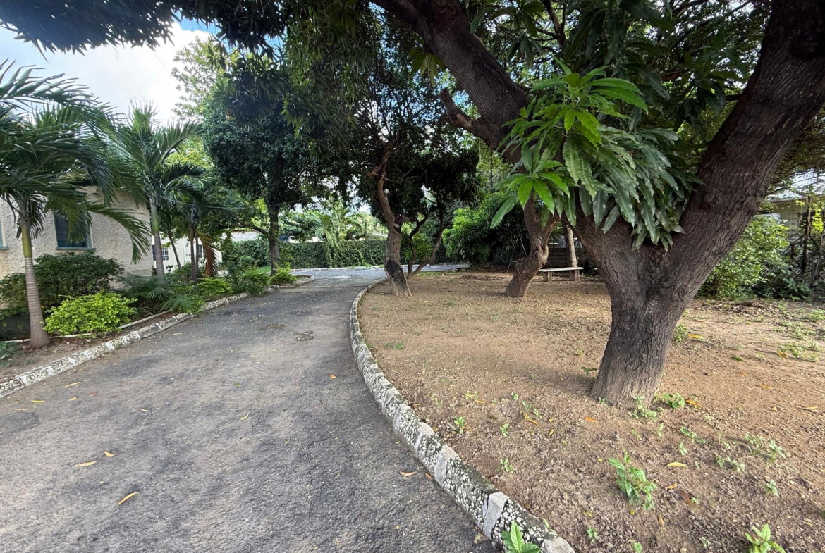 Sixth image of 16 Windsor Avenue, Kingston 5 in Kingston 5, St. Andrew, Jamaica - property is For Sale