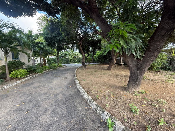 Sixth image of 16 Windsor Avenue, Kingston 5 in Kingston 5, St. Andrew, Jamaica - property is For Sale