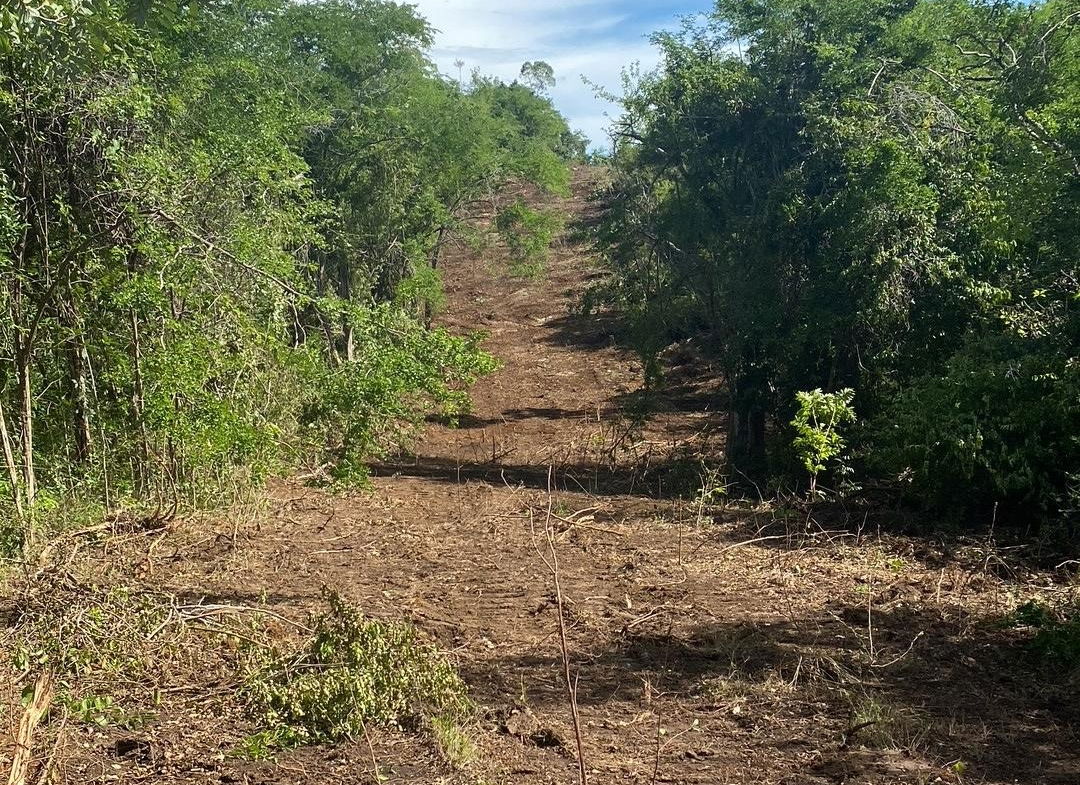 First image of Luana Development in Black River, St. Elizabeth, Jamaica - property is For Sale