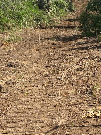 Twelfth image of Luana Development in Black River, St. Elizabeth, Jamaica - property is For Sale