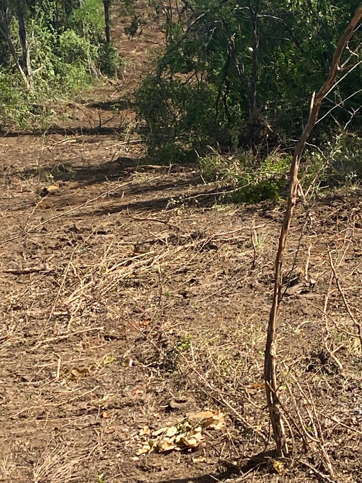 Prime-Development-Land-for-Sale-in-Luana-St.-Elizabeth-Jamaica Thirteenth image of Luana Development in Black River, St. Elizabeth, Jamaica - property is For Sale