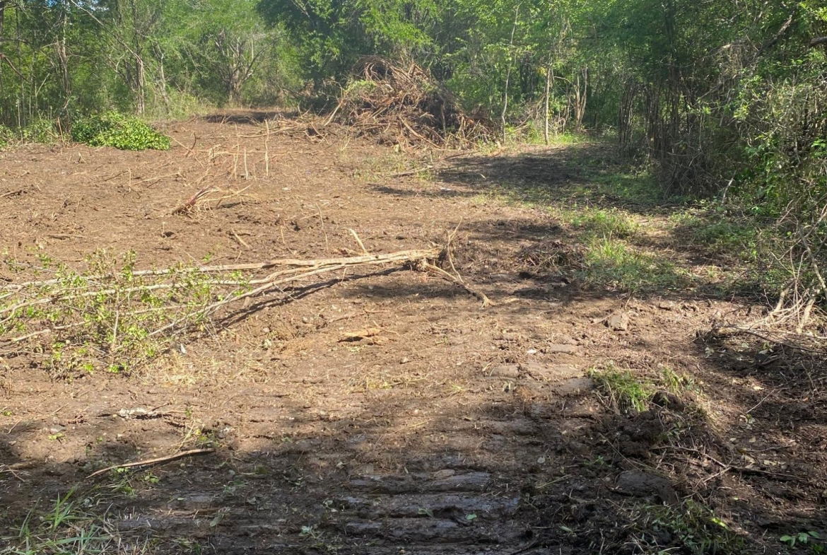 Fourteenth image of Luana Development in Black River, St. Elizabeth, Jamaica - property is For Sale