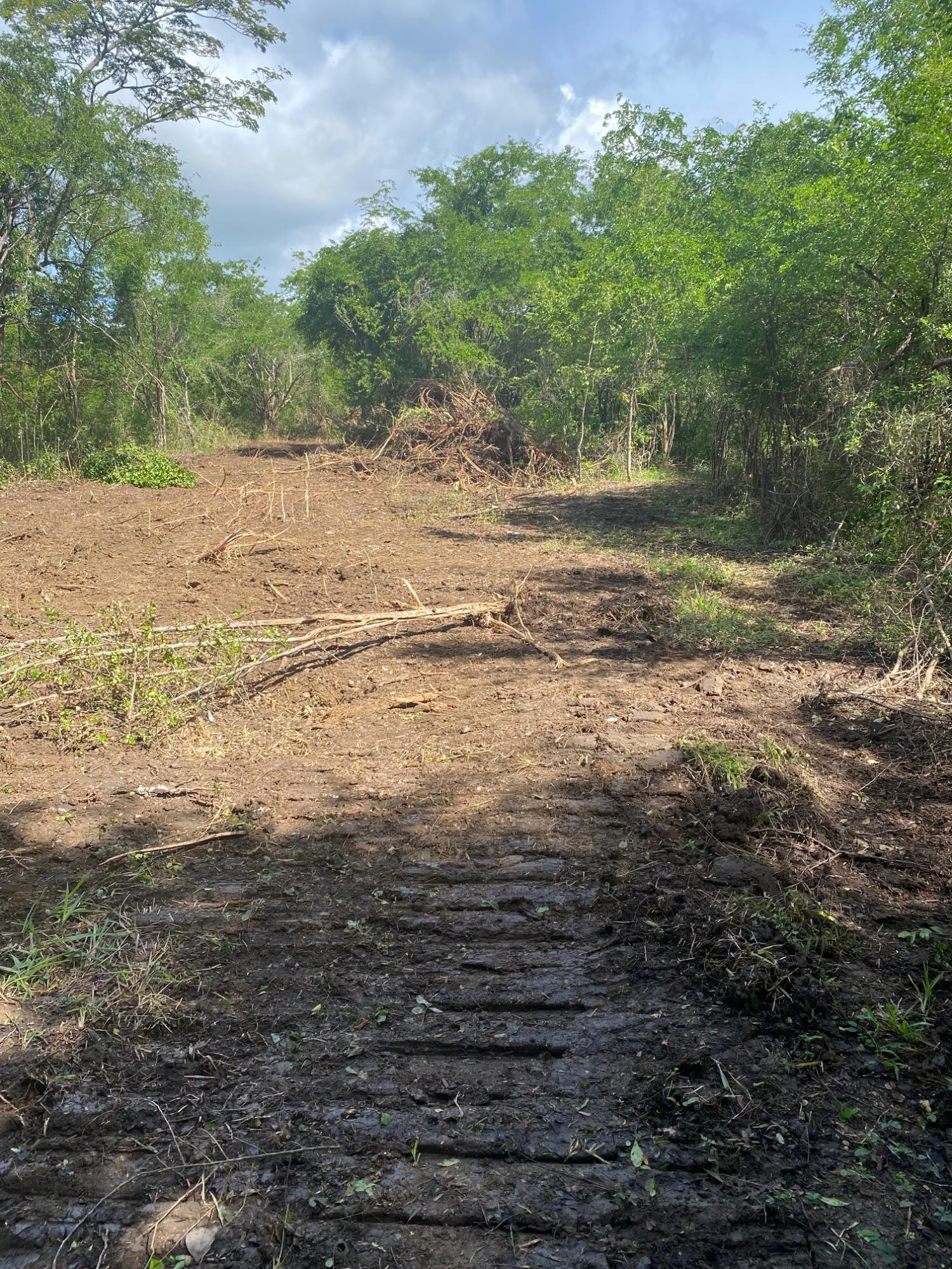 Prime-Development-Land-for-Sale-in-Luana-St.-Elizabeth-Jamaica Fourteenth image of Luana Development in Black River, St. Elizabeth, Jamaica - property is For Sale