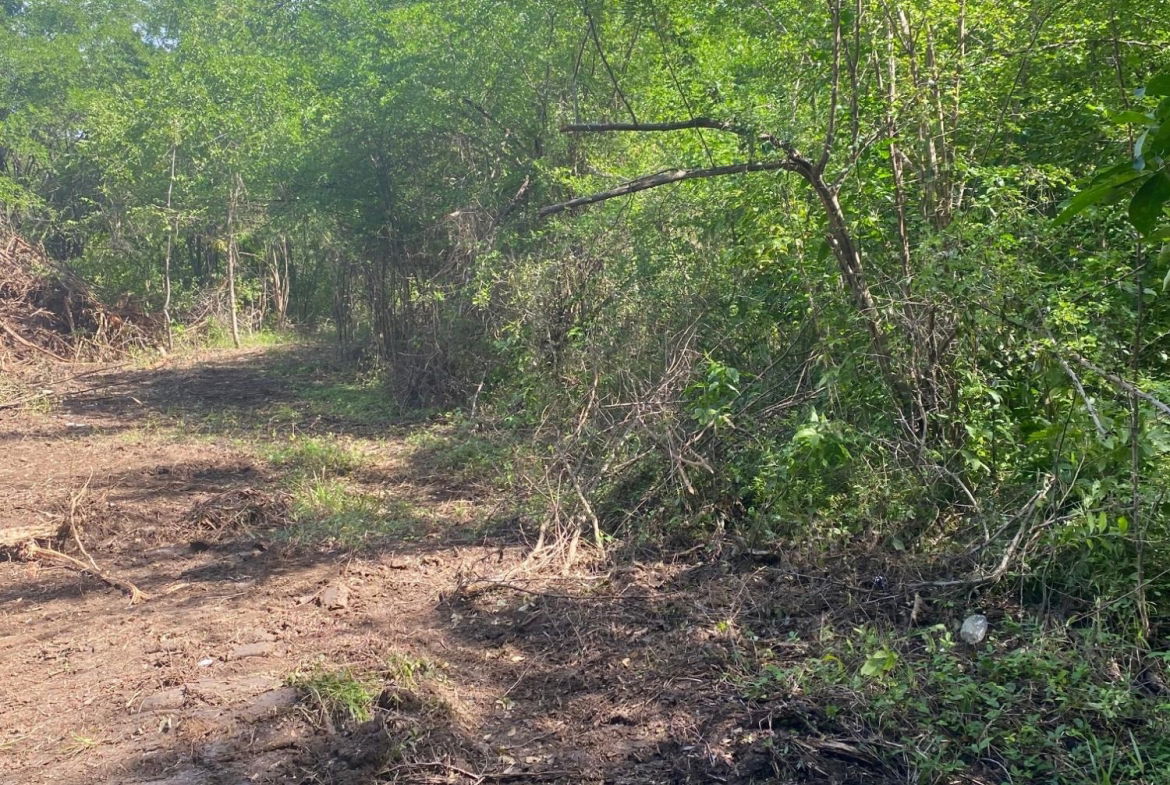 Fifteenth image of Luana Development in Black River, St. Elizabeth, Jamaica - property is For Sale