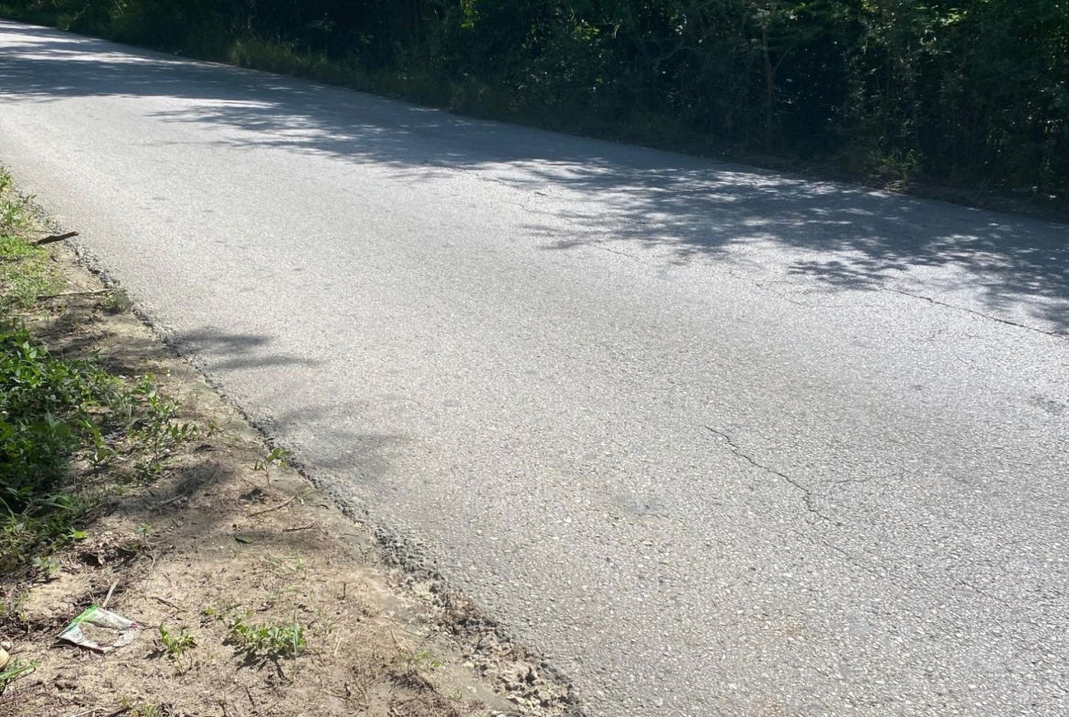 Eighteenth image of Luana Development in Black River, St. Elizabeth, Jamaica - property is For Sale