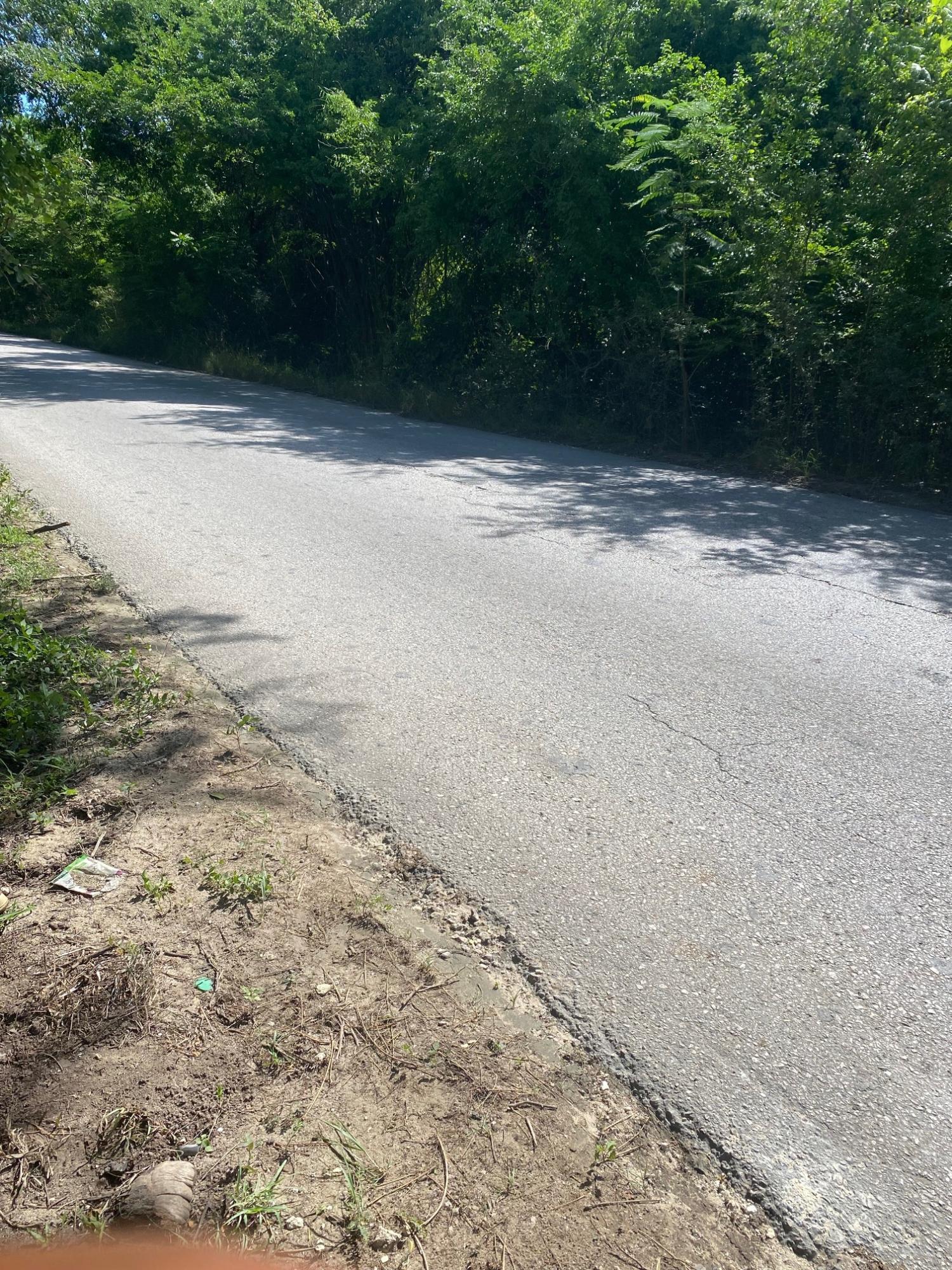 Prime-Development-Land-for-Sale-in-Luana-St.-Elizabeth-Jamaica Eighteenth image of Luana Development in Black River, St. Elizabeth, Jamaica - property is For Sale