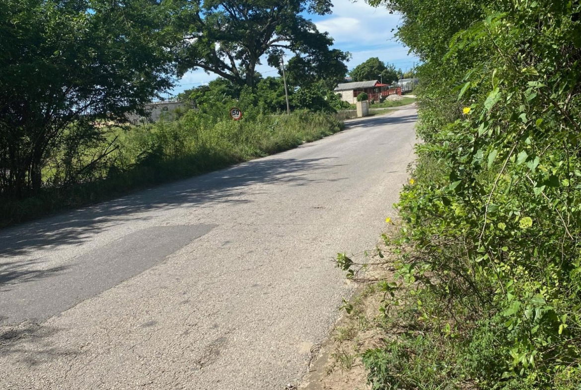 Nineteenth image of Luana Development in Black River, St. Elizabeth, Jamaica - property is For Sale