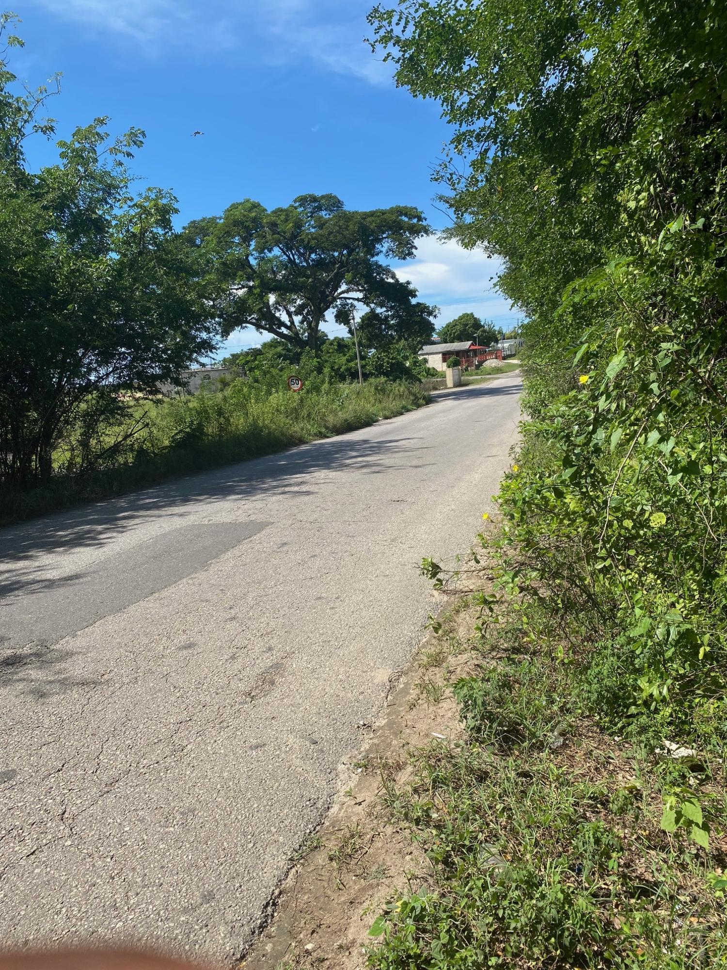 Prime-Development-Land-for-Sale-in-Luana-St.-Elizabeth-Jamaica Nineteenth image of Luana Development in Black River, St. Elizabeth, Jamaica - property is For Sale