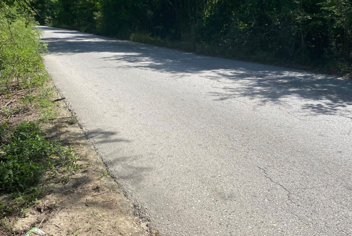 Twentieth image of Luana Development in Black River, St. Elizabeth, Jamaica - property is For Sale