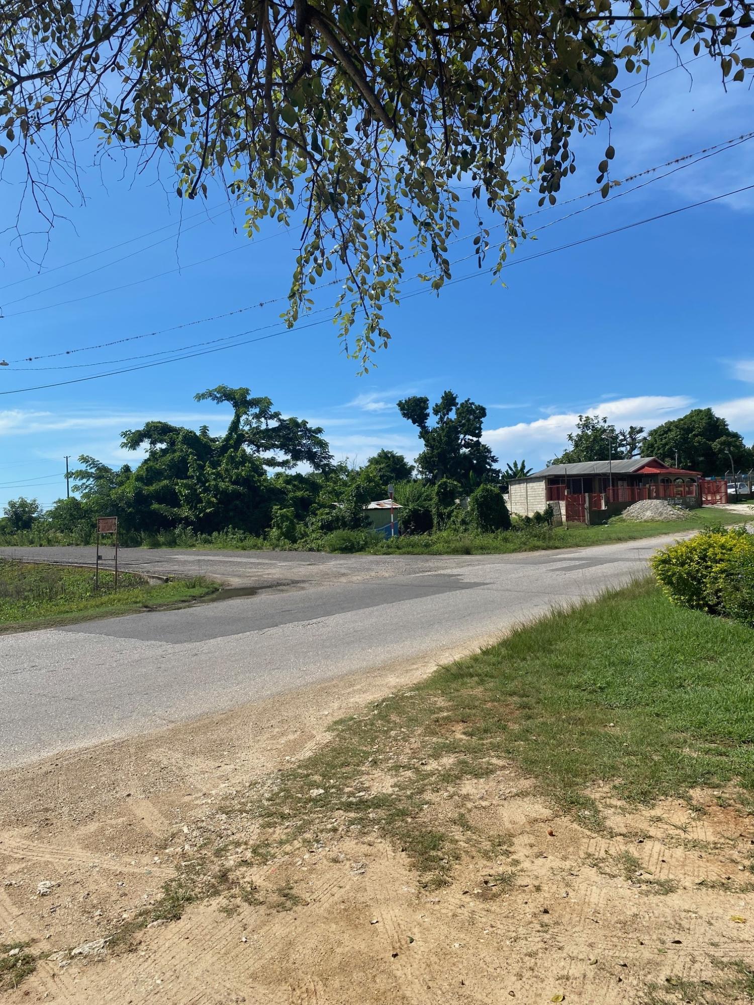 Prime-Development-Land-for-Sale-in-Luana-St.-Elizabeth-Jamaica Twenty-Second image of Luana Development in Black River, St. Elizabeth, Jamaica - property is For Sale