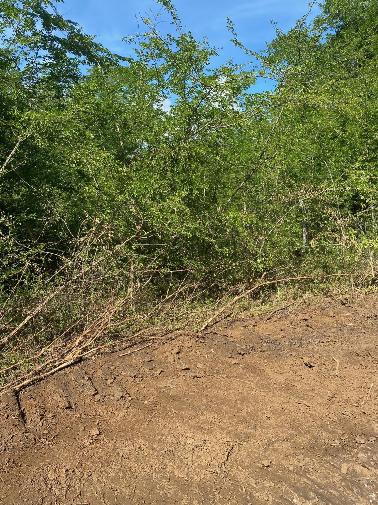 Prime-Development-Land-for-Sale-in-Luana-St.-Elizabeth-Jamaica Fourth image of Luana Development in Black River, St. Elizabeth, Jamaica - property is For Sale