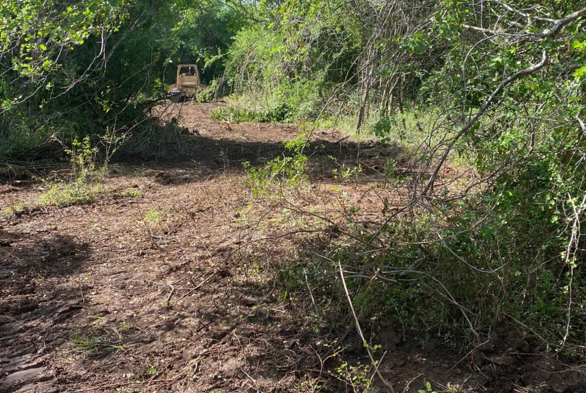 Fifth image of Luana Development in Black River, St. Elizabeth, Jamaica - property is For Sale