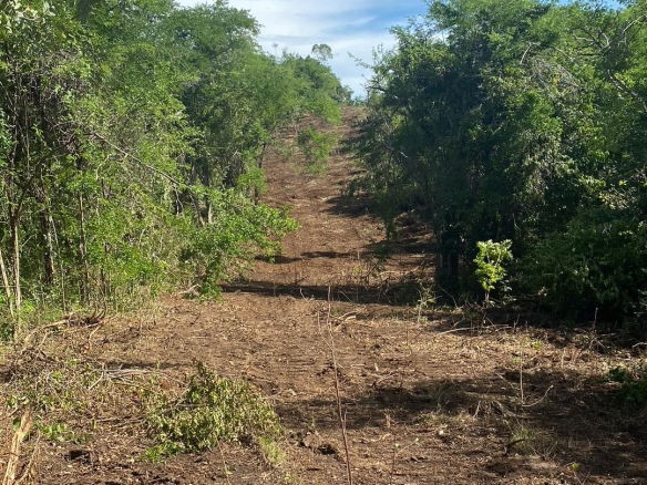 First image of Luana Development in Black River, St. Elizabeth, Jamaica - property is For Sale