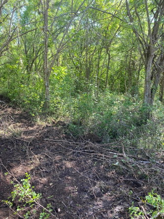Seventh image of Luana Development in Black River, St. Elizabeth, Jamaica - property is For Sale