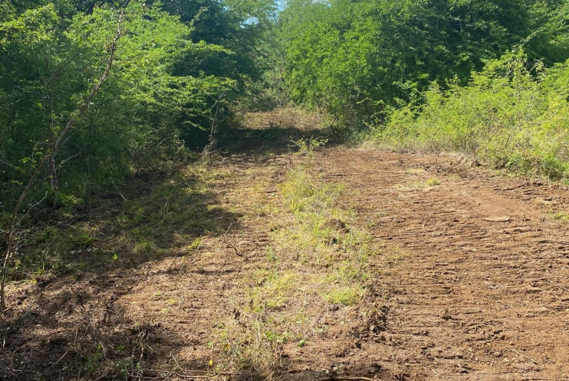 Eighth image of Luana Development in Black River, St. Elizabeth, Jamaica - property is For Sale