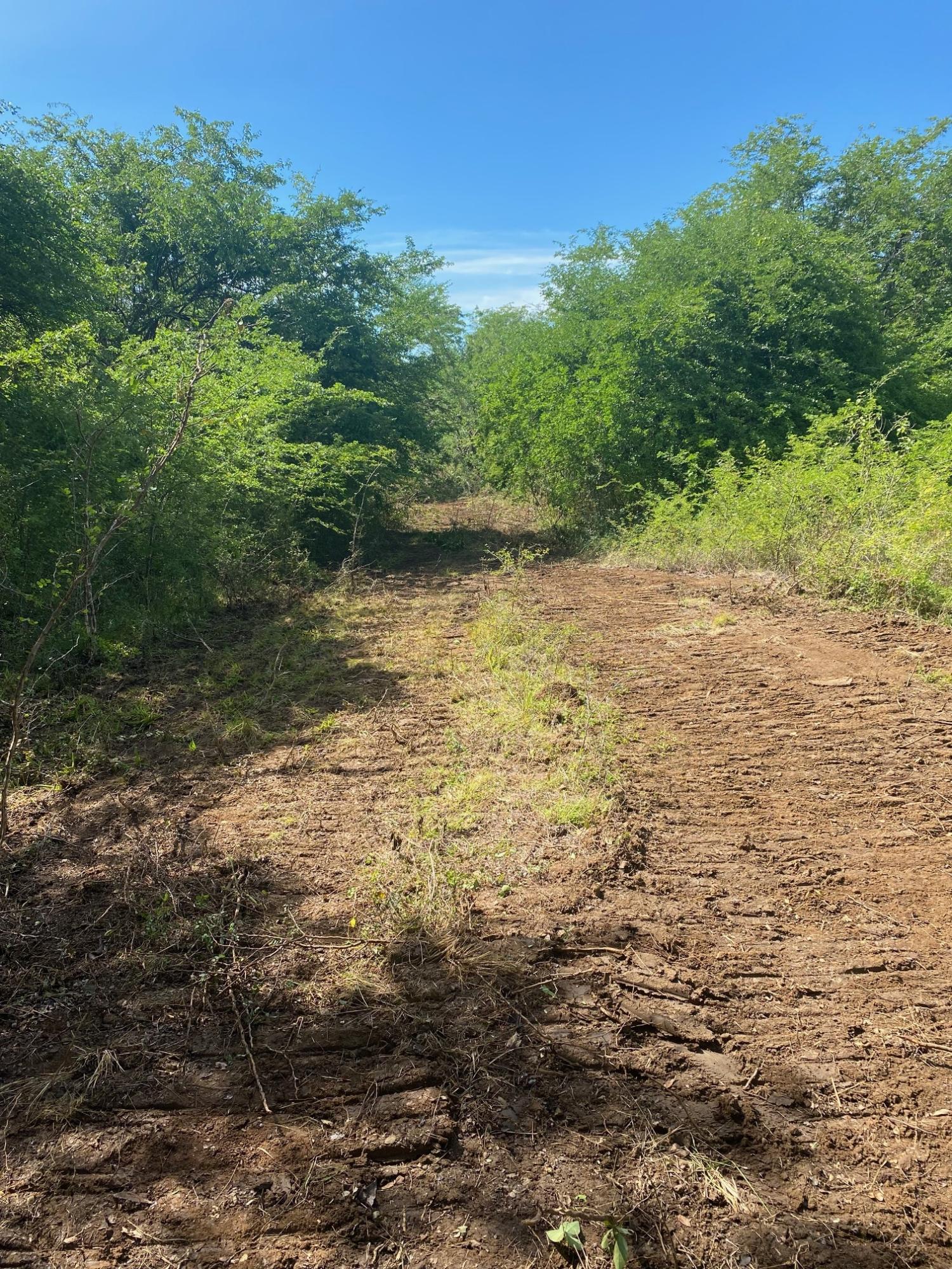 Prime-Development-Land-for-Sale-in-Luana-St.-Elizabeth-Jamaica Eighth image of Luana Development in Black River, St. Elizabeth, Jamaica - property is For Sale