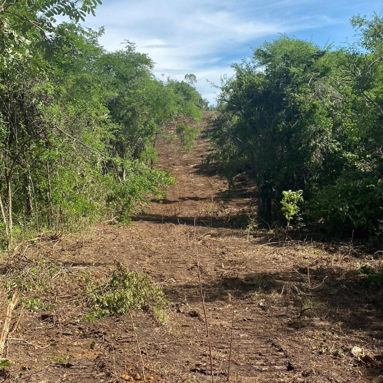 First image of Luana Development in Black River, St. Elizabeth, Jamaica - property is For Sale