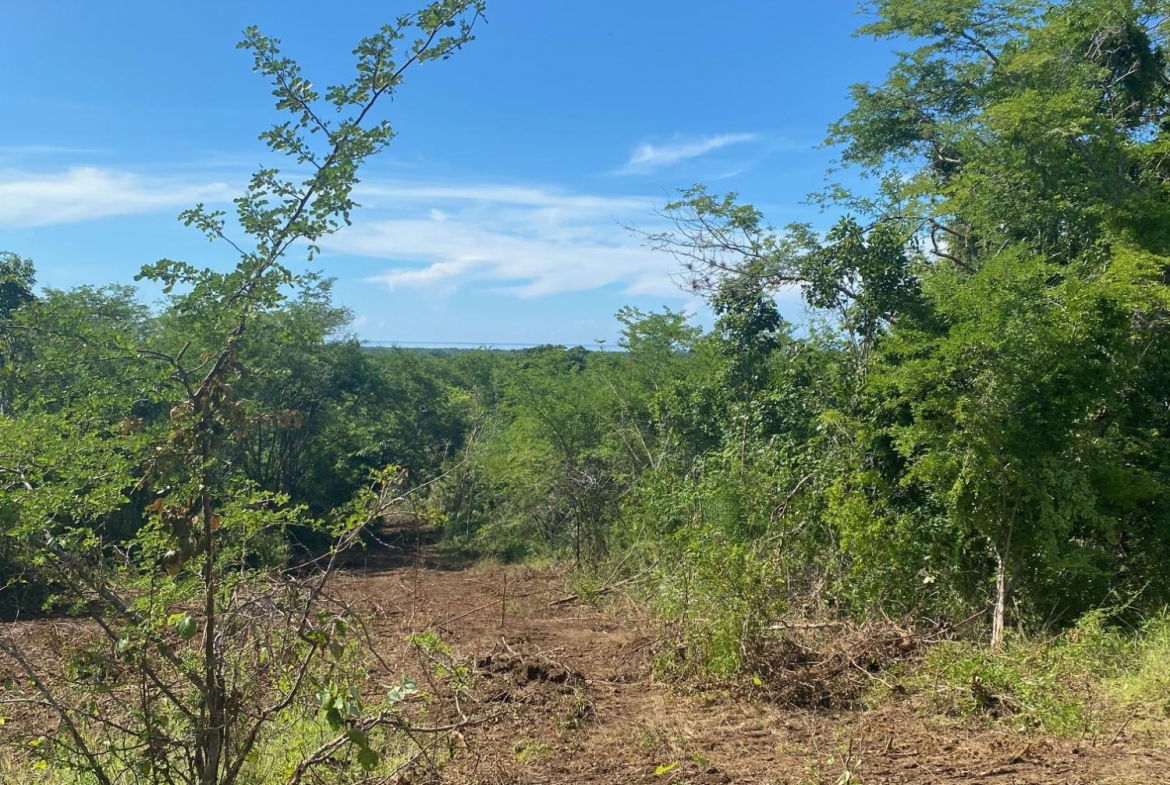 Ninth image of Luana Development in Black River, St. Elizabeth, Jamaica - property is For Sale