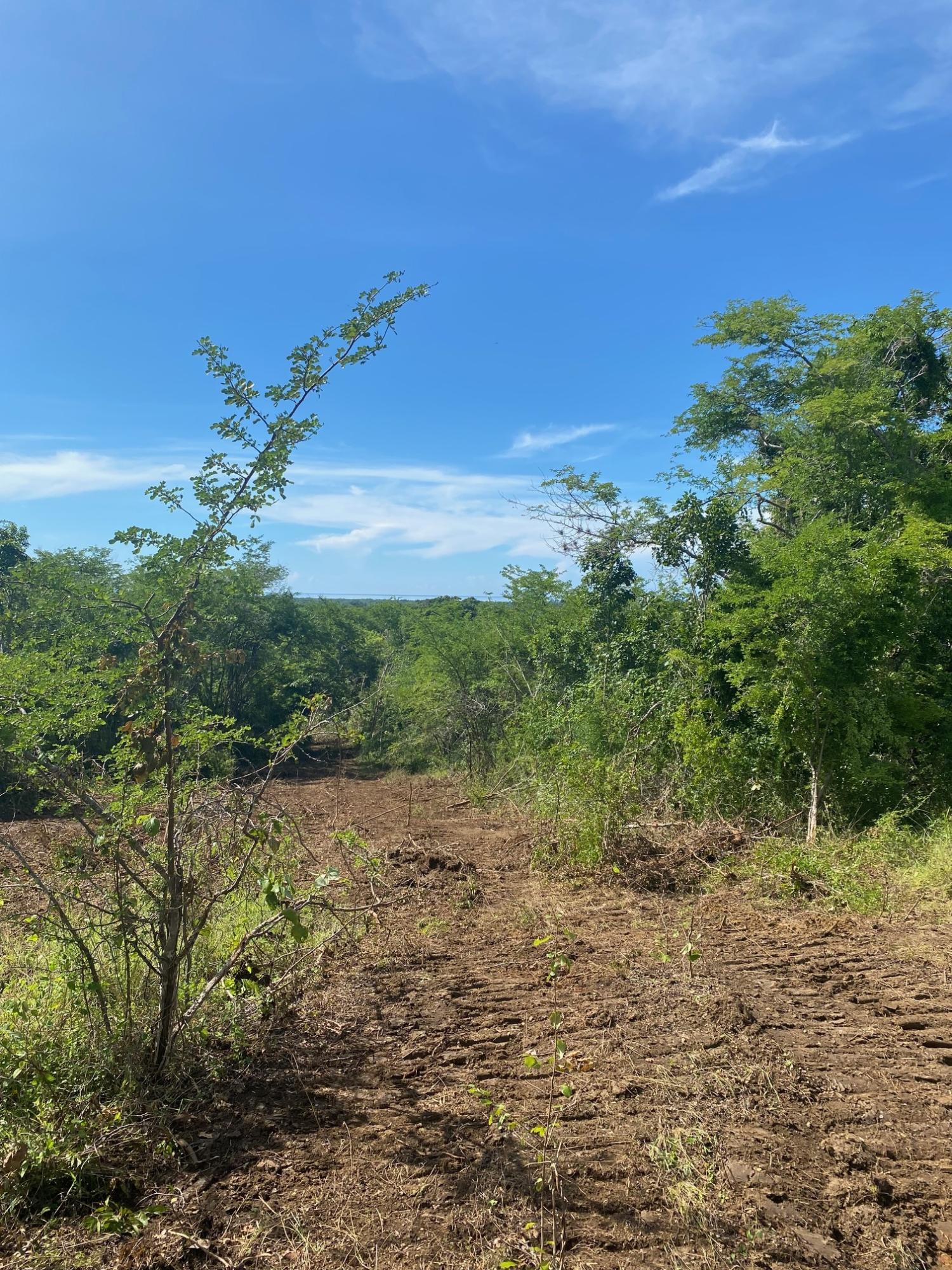 Prime-Development-Land-for-Sale-in-Luana-St.-Elizabeth-Jamaica Ninth image of Luana Development in Black River, St. Elizabeth, Jamaica - property is For Sale