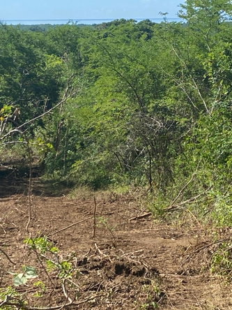 Tenth image of Luana Development in Black River, St. Elizabeth, Jamaica - property is For Sale