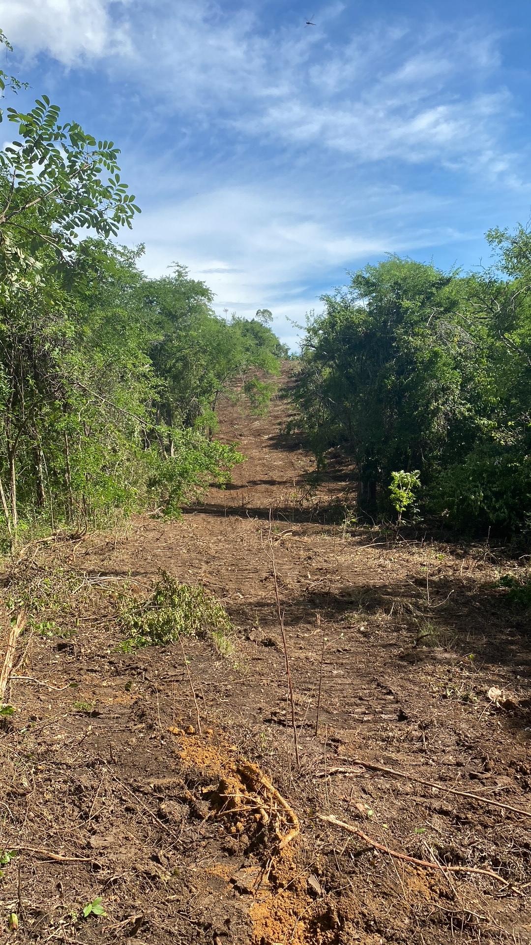 Prime-Development-Land-for-Sale-in-Luana-St.-Elizabeth-Jamaica First image of Luana Development in Black River, St. Elizabeth, Jamaica - property is For Sale