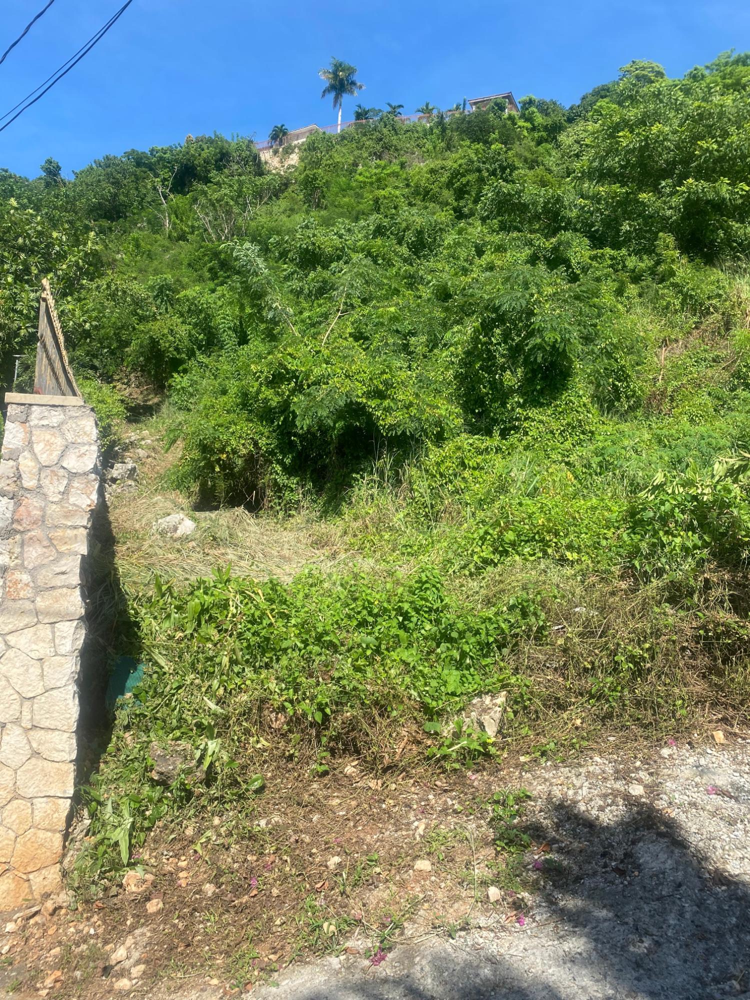 Fourth image of 2 Chancery Hall in Kingston 19, St. Andrew, Jamaica - property is For Sale