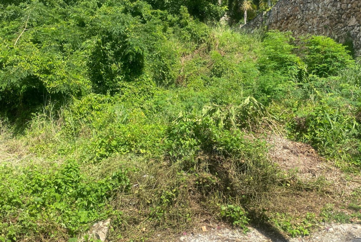 Fifth image of 2 Chancery Hall in Kingston 19, St. Andrew, Jamaica - property is For Sale