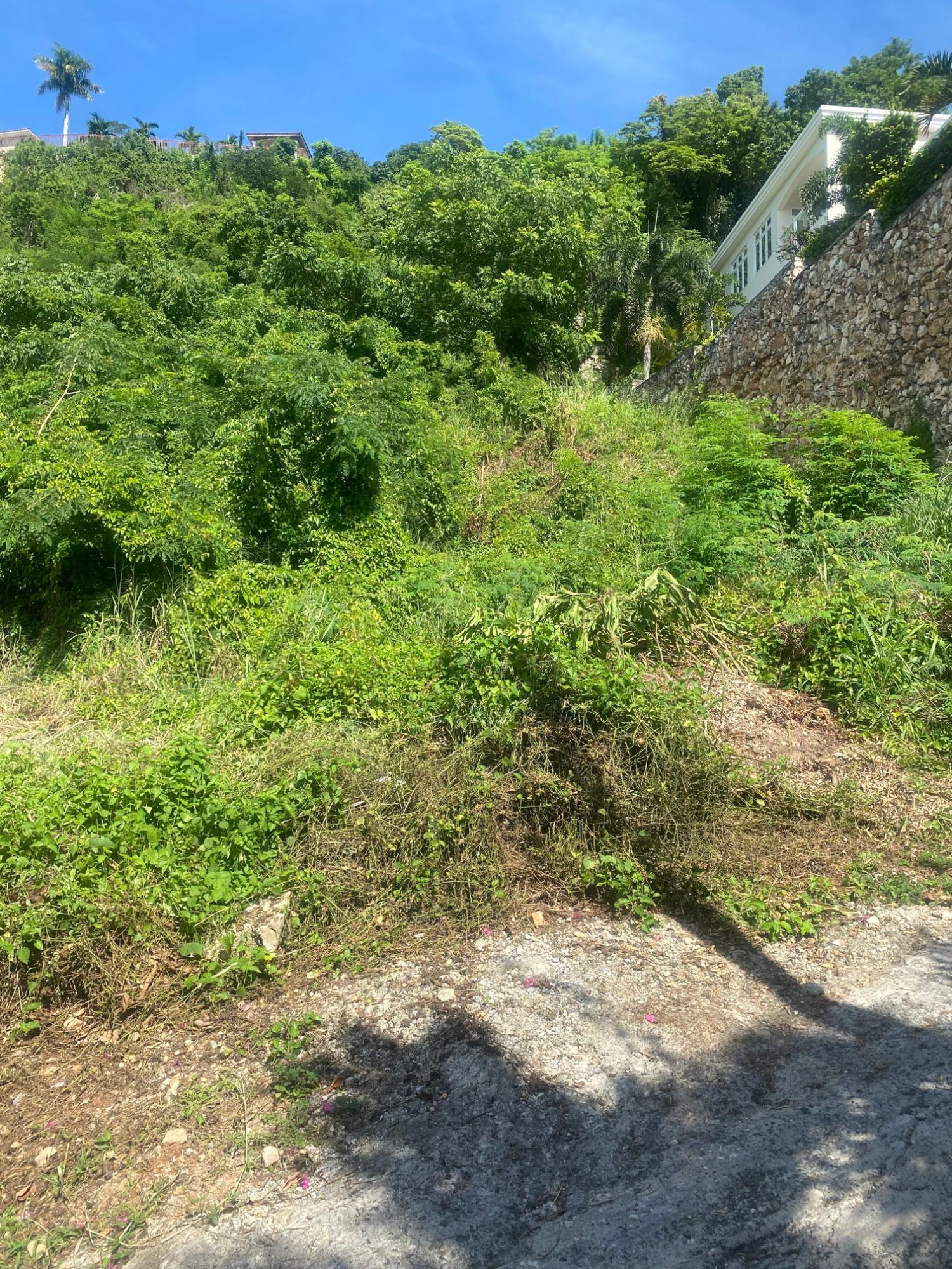 Fifth image of 2 Chancery Hall in Kingston 19, St. Andrew, Jamaica - property is For Sale