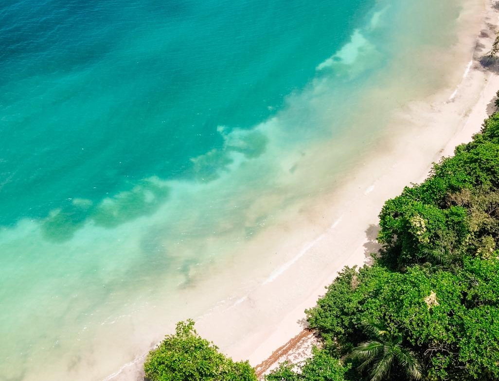 Third image of 10 San San Estate in SAN SAN, Portland, Jamaica - property is For Sale