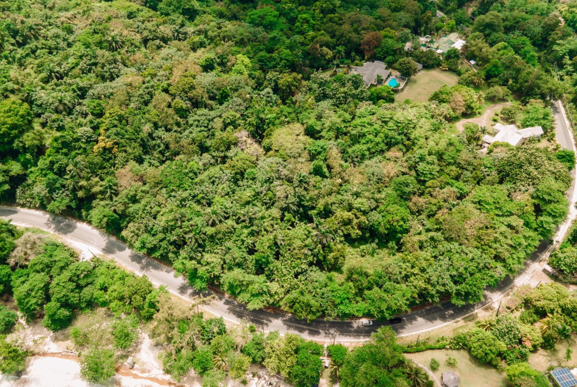 Eighth image of 10 San San Estate in SAN SAN, Portland, Jamaica - property is For Sale