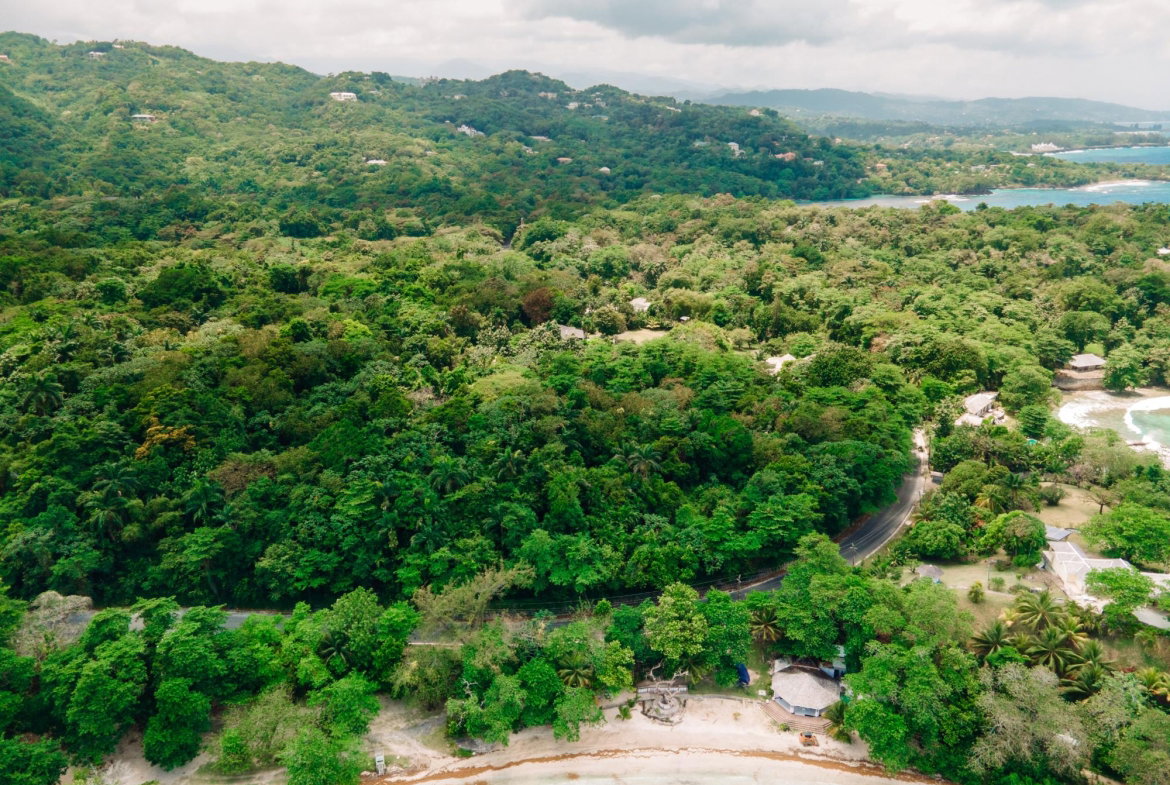 Ninth image of 10 San San Estate in SAN SAN, Portland, Jamaica - property is For Sale