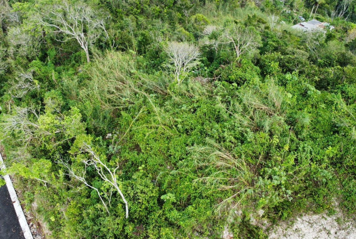 Second image of Hopeton Pen in Mandeville, Manchester, Jamaica - property is For Sale