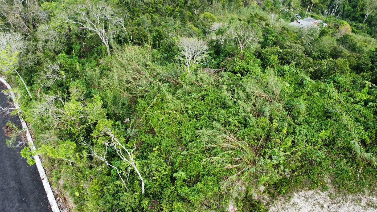 Second image of Hopeton Pen in Mandeville, Manchester, Jamaica - property is For Sale