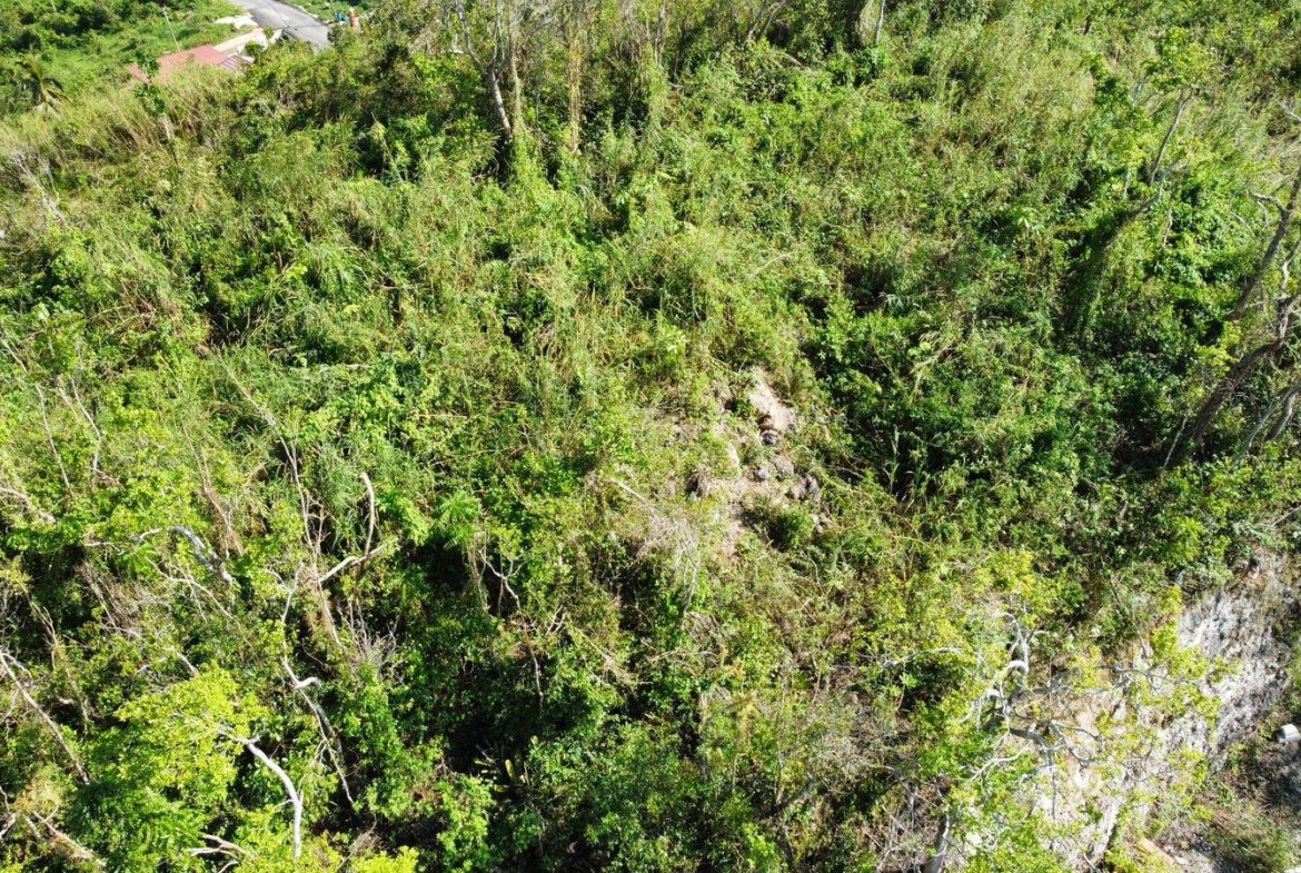 Thirteenth image of Hopeton Pen in Mandeville, Manchester, Jamaica - property is For Sale