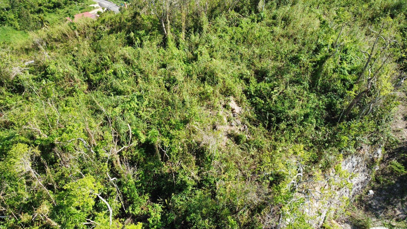 Thirteenth image of Hopeton Pen in Mandeville, Manchester, Jamaica - property is For Sale