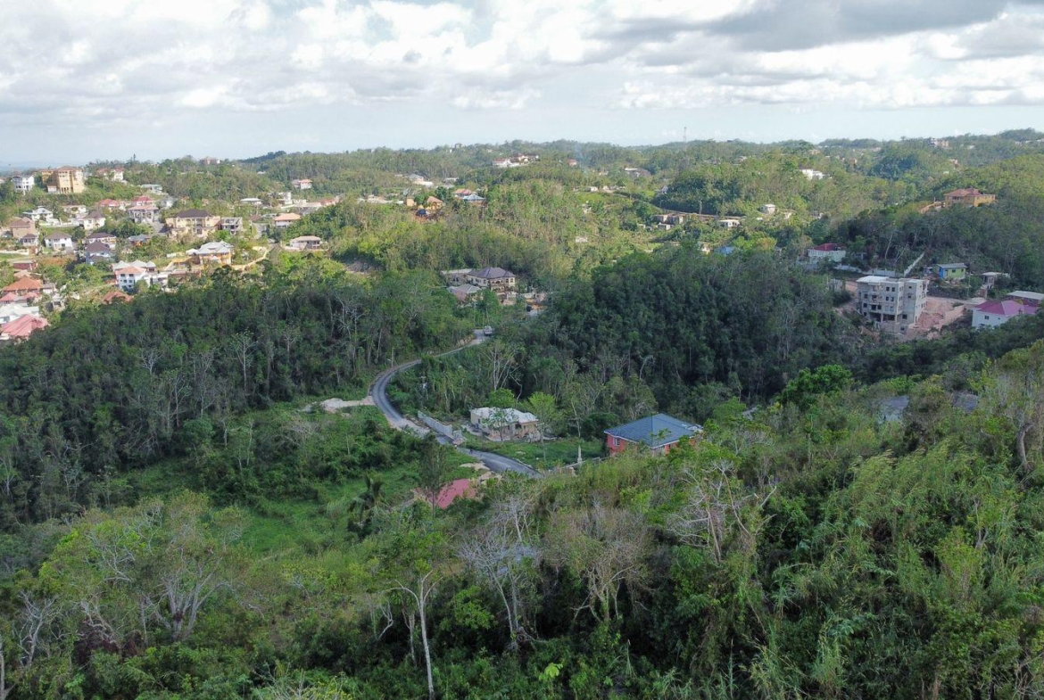 Fourteenth image of Hopeton Pen in Mandeville, Manchester, Jamaica - property is For Sale