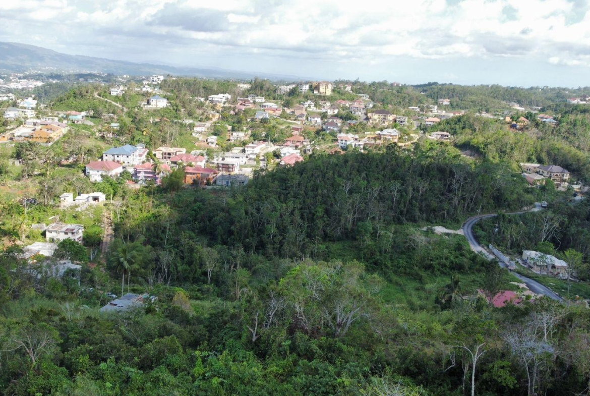 Fifteenth image of Hopeton Pen in Mandeville, Manchester, Jamaica - property is For Sale