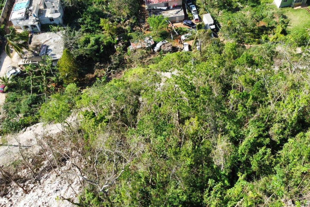 Sixteenth image of Hopeton Pen in Mandeville, Manchester, Jamaica - property is For Sale