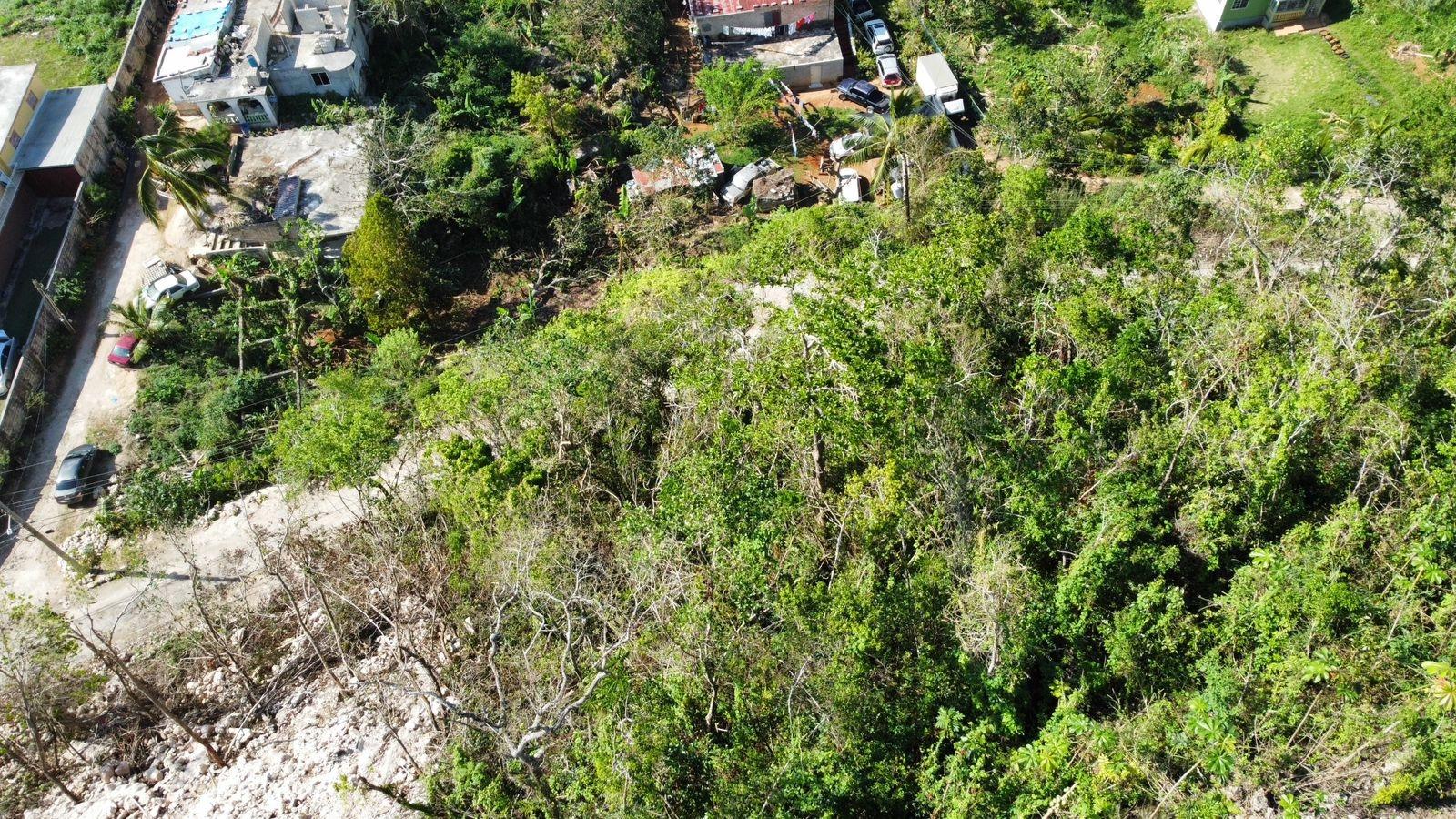 Sixteenth image of Hopeton Pen in Mandeville, Manchester, Jamaica - property is For Sale