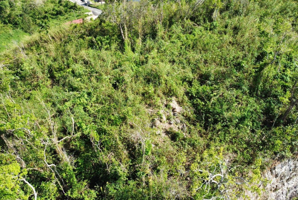 Seventeenth image of Hopeton Pen in Mandeville, Manchester, Jamaica - property is For Sale