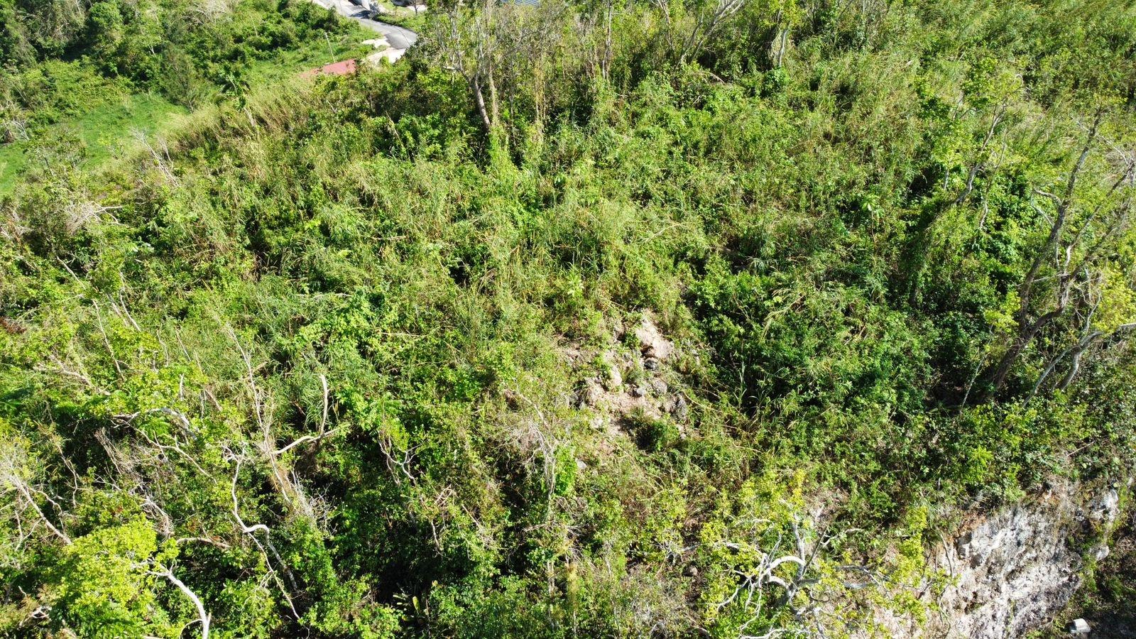 Seventeenth image of Hopeton Pen in Mandeville, Manchester, Jamaica - property is For Sale