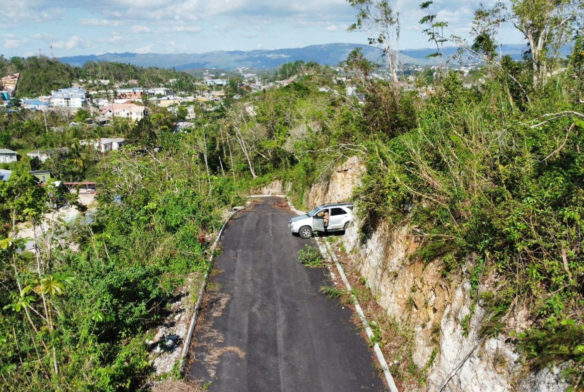 Eighteenth image of Hopeton Pen in Mandeville, Manchester, Jamaica - property is For Sale