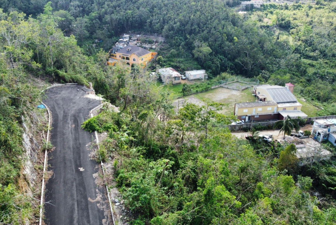 Third image of Hopeton Pen in Mandeville, Manchester, Jamaica - property is For Sale