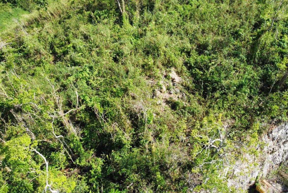 Twenty-First image of Hopeton Pen in Mandeville, Manchester, Jamaica - property is For Sale